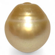 Giant Rich Golden 14.1 x 15.2mm 21.06 Carats South Sea Pearl Loose