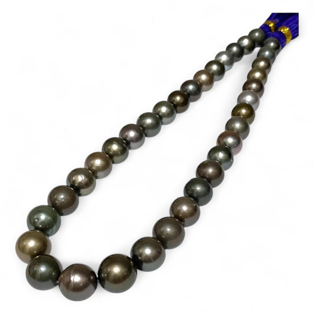 Round 11 - 13mm 35 pcs Multi Peacock Gray Green Tahitian Pearl 16" Strand