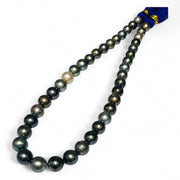 Round 9 - 11mm 40 pcs Multicolors Tahitian South Sea Pearl 16" Strand