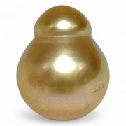 Giant 14.2 x 17.3mm 23 Carat Philippines South Sea Gold Cultured Pearl