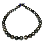 Round 11 - 12mm 36 pcs Tahitian Sea Peacock Black Green Pearl 16" Strand