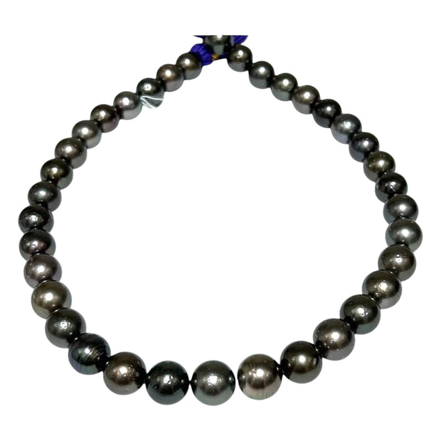 Round 11 - 12mm 36 pcs Tahitian Sea Peacock Black Green Pearl 16" Strand