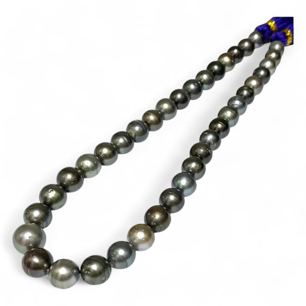 Round 10 - 12mm 38 pcs Multicolors Tahitian South Sea Pearl 16" Strand