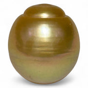 Large 14.2 x 15.6mm 21.7 Carats Deep Gold Philippines South Sea Pearl