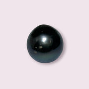 Huge Oval Round 14.6 x 15.4mm Peacock Black Tahitian Sea Pearl Loose