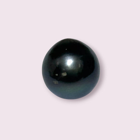 Huge Oval Round 14.6 x 15.4mm Peacock Black Tahitian Sea Pearl Loose
