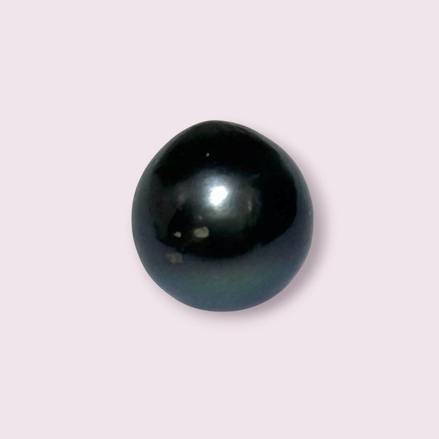 Huge Oval Round 14.6 x 15.4mm Peacock Black Tahitian Sea Pearl Loose