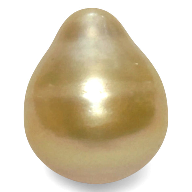 High Quality 14.4 x 17.4mm 23.3 Carat Natural Golden South Sea Pearl