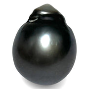 Giant 23.6 Carat 14.3 x 18mm Tahitian South Sea Peacock Gray Pearl