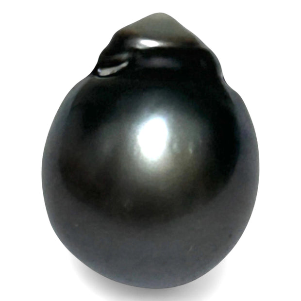 Giant 23.6 Carat 14.3 x 18mm Tahitian South Sea Peacock Gray Pearl