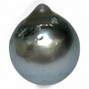 Huge 16.8 Carat 12.9 x 14.9mm Tahitian Peacock Black Green Pearl Loose