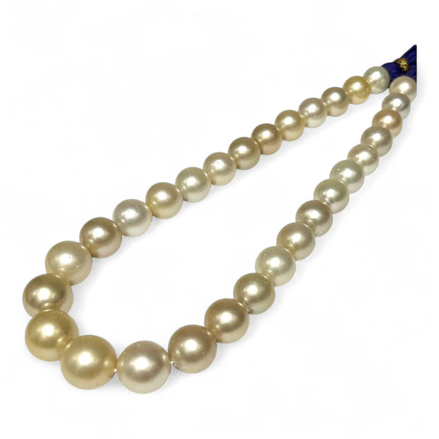 Giant 12 - 16.3mm 30 pcs South Sea Light Golden Round Pearl 16" Strand