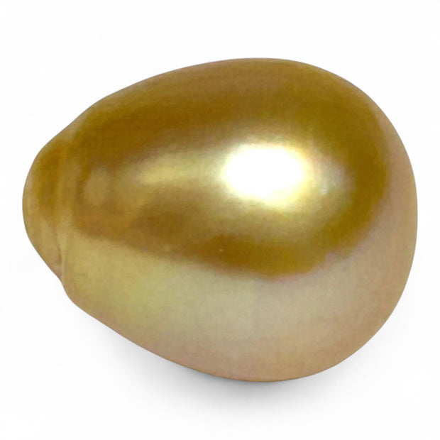 Giant 19.7 Carat 13.2 x 16.2mm Rich Gold Philippines South Sea Pearl