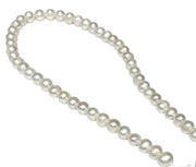 5A Superb 7.5 - 8.5mm White Cultured Pearl 16" Strand - Necklace