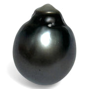 Giant 23.6 Carat 14.3 x 18mm Tahitian South Sea Peacock Gray Pearl