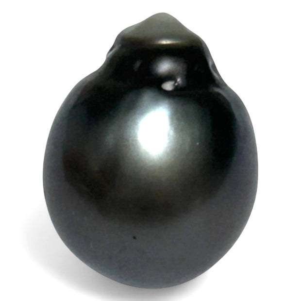 Giant 23.6 Carat 14.3 x 18mm Tahitian South Sea Peacock Gray Pearl