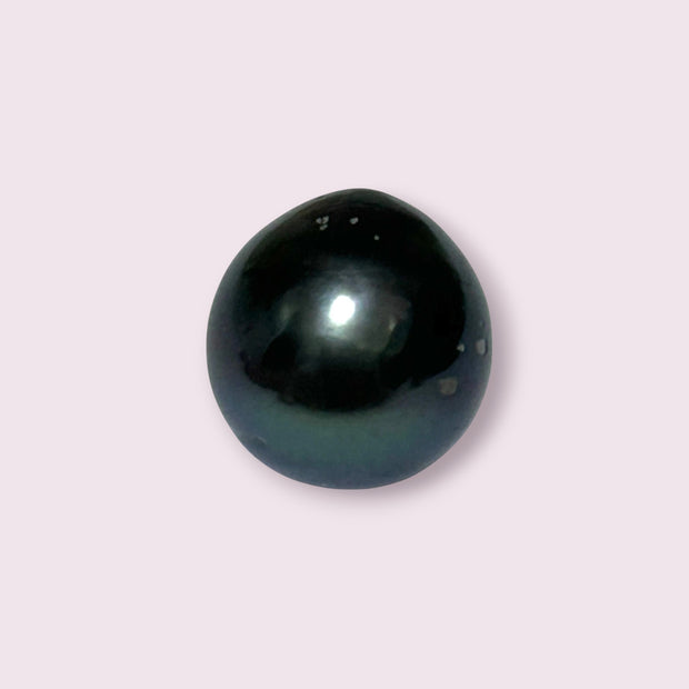 Huge Oval Round 14.6 x 15.4mm Peacock Black Tahitian Sea Pearl Loose