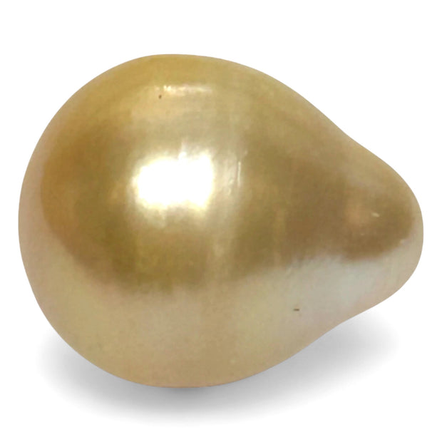High Quality 14.4 x 17.4mm 23.3 Carat Natural Golden South Sea Pearl