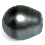 Elegant 12.7 x 14.8mm 18.5 Carat Tahitian Pearl –Peacock Gray Oval