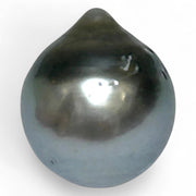 Huge 16.8 Carat 12.9 x 14.9mm Tahitian Peacock Black Green Pearl Loose