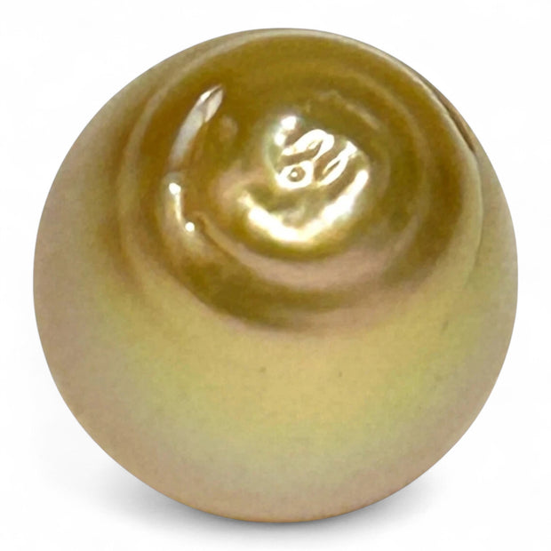 Giant 19.7 Carat 13.2 x 16.2mm Rich Gold Philippines South Sea Pearl