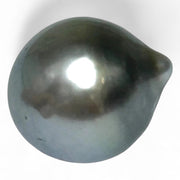Huge 16.8 Carat 12.9 x 14.9mm Tahitian Peacock Black Green Pearl Loose