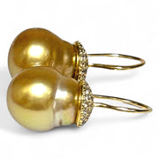 Elliptical 11.6x13mm Rich Golden Philippine South Sea Pearl Earrings