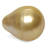 High Quality 14.4 x 17.4mm 23.3 Carat Natural Golden South Sea Pearl