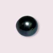 Huge Oval Round 14.6 x 15.4mm Peacock Black Tahitian Sea Pearl Loose