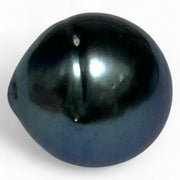 Giant 14.9 x 15.7mm 24 Carat Tahitian Peacock Black Blue Pearl Loose