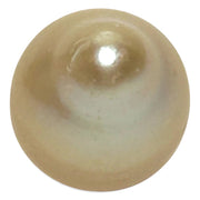High Quality 14.4 x 17.4mm 23.3 Carat Natural Golden South Sea Pearl
