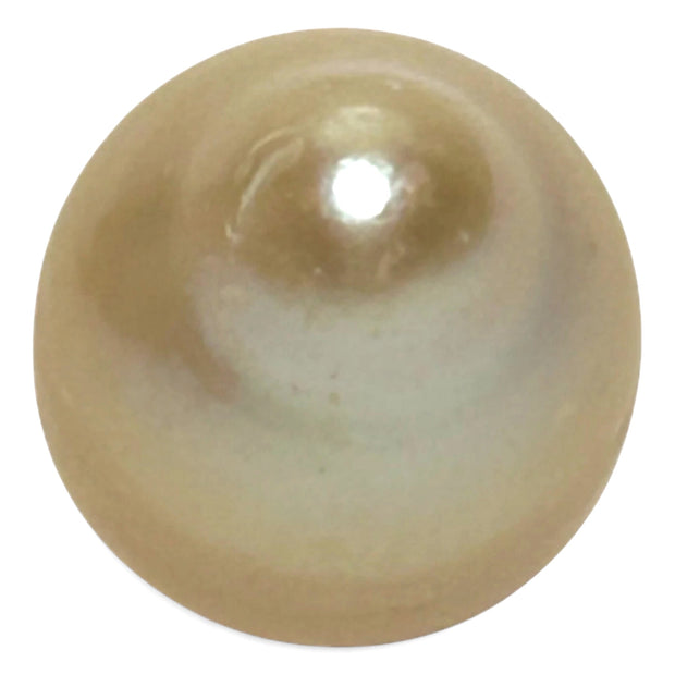 High Quality 14.4 x 17.4mm 23.3 Carat Natural Golden South Sea Pearl