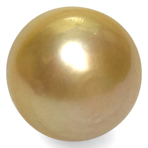 High Quality 14.4 x 17.4mm 23.3 Carat Natural Golden South Sea Pearl