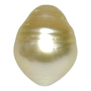 Premier Oval 13.1 x 16.6mm 19.4 Carats Gold South Sea Pearl Loose