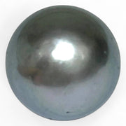 Huge 16.8 Carat 12.9 x 14.9mm Tahitian Peacock Black Green Pearl Loose