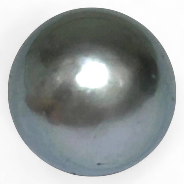 Huge 16.8 Carat 12.9 x 14.9mm Tahitian Peacock Black Green Pearl Loose