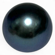 Giant 14.9 x 15.7mm 24 Carat Tahitian Peacock Black Blue Pearl Loose