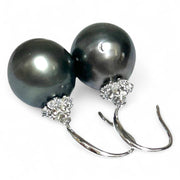 Oval Round 12 x 12.2mm Peacock Black Tahitian Sea Pearl Dangle Earrings