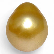 5A Smooth Giant 13.7 x 16mm 20.5 Carats Rich Gold South Sea Pearl