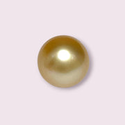 Oval Drop 14.3 x 17mm 23.3 Carats Rich Gold South Sea Pearl Loose