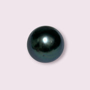 Huge Oval Round 14.6 x 15.4mm Peacock Black Tahitian Sea Pearl Loose