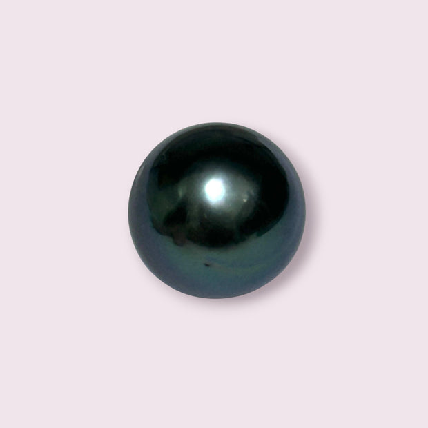 Huge Oval Round 14.6 x 15.4mm Peacock Black Tahitian Sea Pearl Loose
