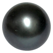 Giant 23.6 Carat 14.3 x 18mm Tahitian South Sea Peacock Gray Pearl