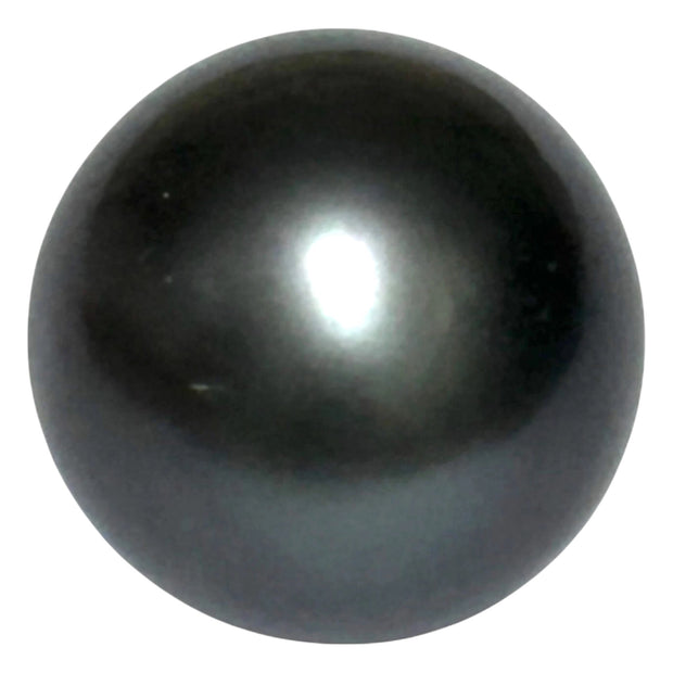 Giant 23.6 Carat 14.3 x 18mm Tahitian South Sea Peacock Gray Pearl