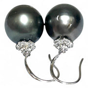 Oval Round 12 x 12.2mm Peacock Black Tahitian Sea Pearl Dangle Earrings