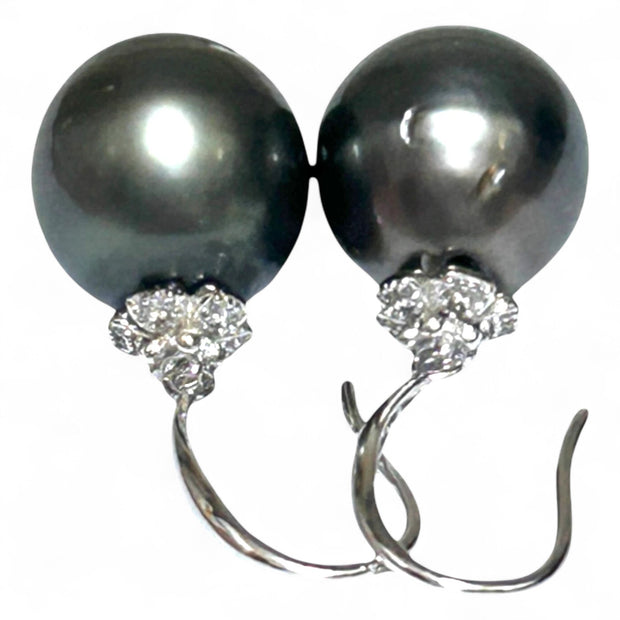 Oval Round 12 x 12.2mm Peacock Black Tahitian Sea Pearl Dangle Earrings