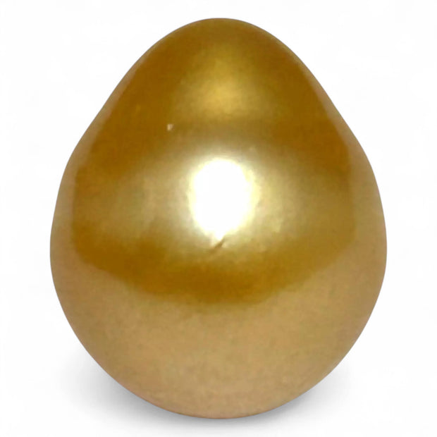 5A Smooth Giant 13.7 x 16mm 20.5 Carats Rich Gold South Sea Pearl