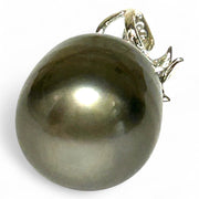 Oval 12 x 15.3mm Tahitian South Sea Peacock Black Green Pearl Pendant