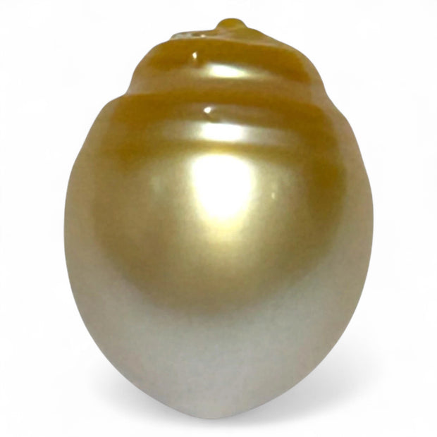 Oval 12.8 x 16.3mm 17.4 Carats Natural Gold South Sea Loose Pearl