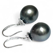 Oval Round 12 x 12.2mm Peacock Black Tahitian Sea Pearl Dangle Earrings